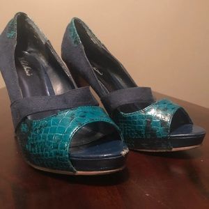 Michael Antonio Blue Heels